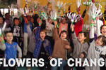 Flowers of change : les fleurs du changement, la vidéo !