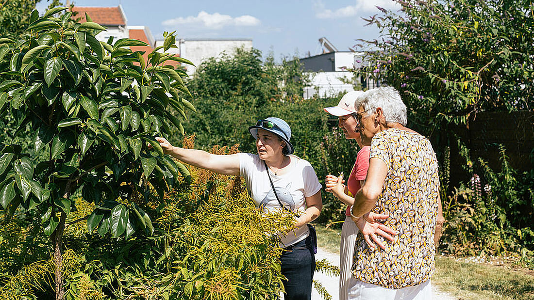 Le jardin du Verger