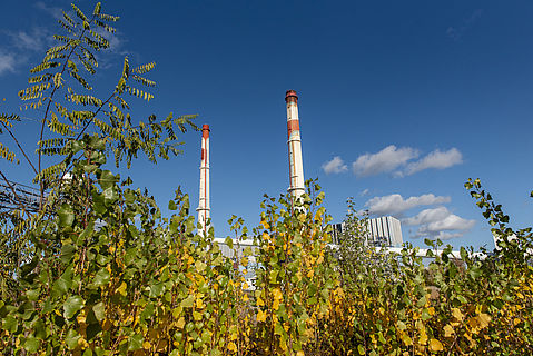  DSC8899