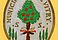 002 DESSIN BLASON REVOL NC