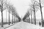 Avenue du chemin de fer, actuellement avenue Paul Vaillant Couturier, au moment de la construction du port à l'anglais © Archives municipales