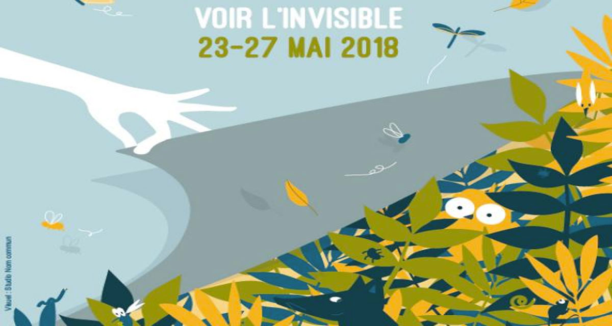 fetedelanature18