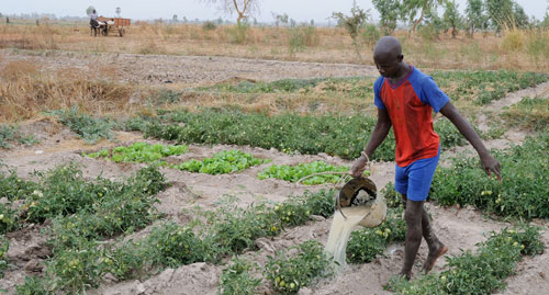 28 ans que les membres de l'association Coopération Vitry-Mali multiplient les actions dans les villages maliens et à Vitry et construisent peu à peu les objectifs d'une coopération décentralisée.
