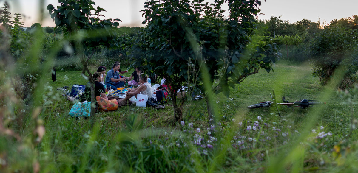 Parc Lilas 20190628